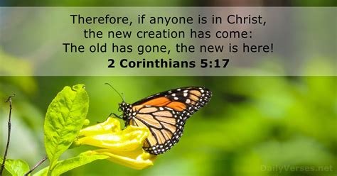 2 Corinto 5,2 Corinthians 5 MBBTAG;NIV .